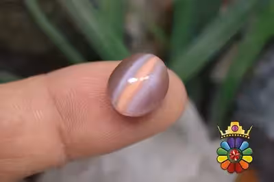 چشم گربه چینی