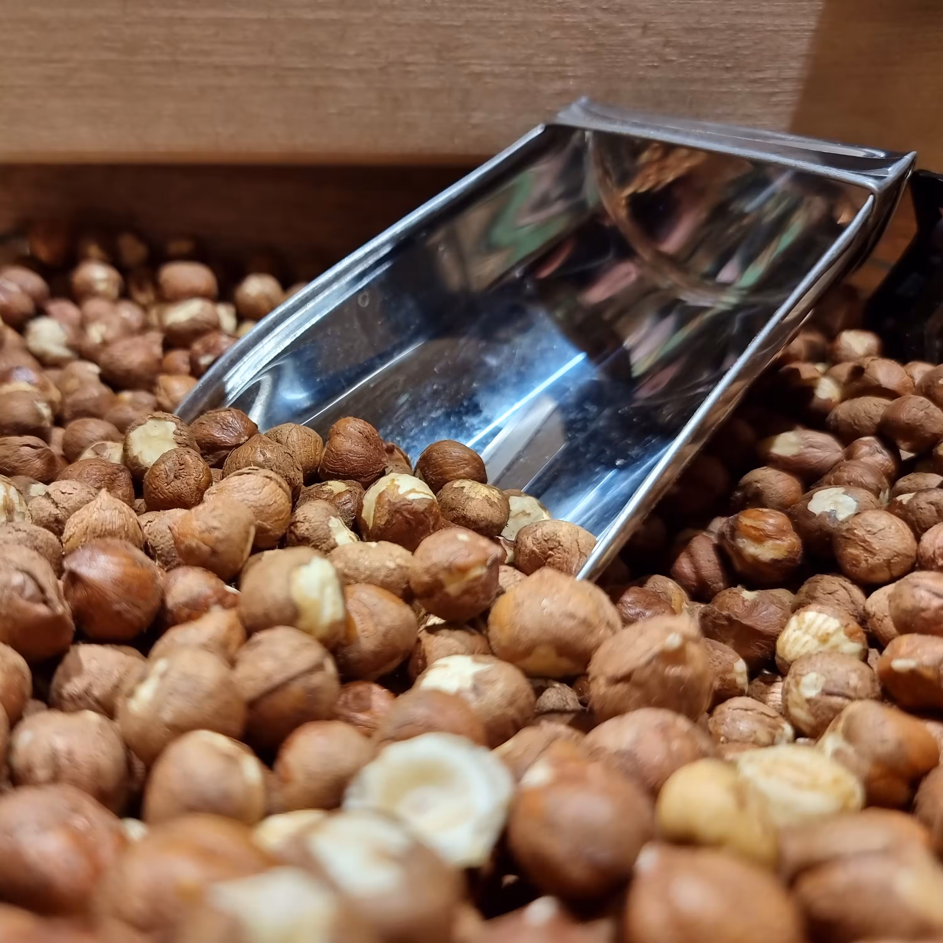 مغز فندق ایرانی خام درجه 1 (500 گرم)