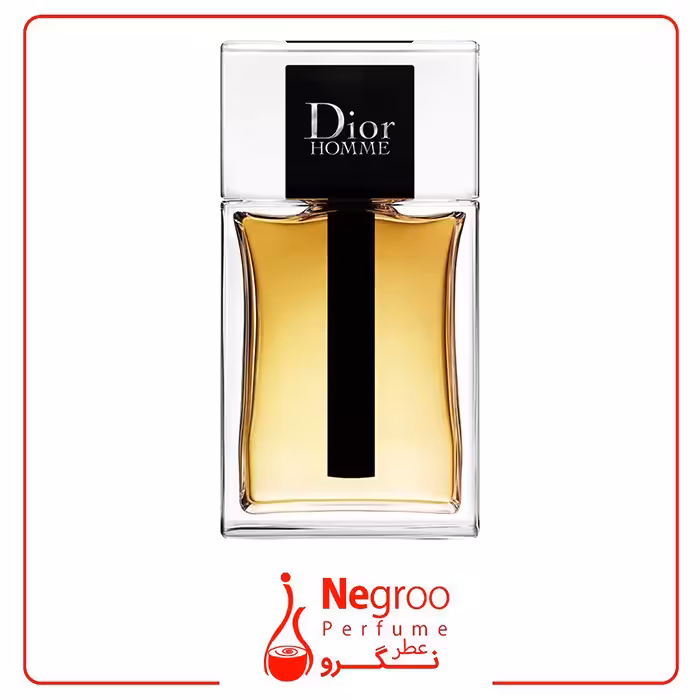 عطر ادکلن دیور هوم نقره‌ای 2020 100 میل Dior Homme 2020