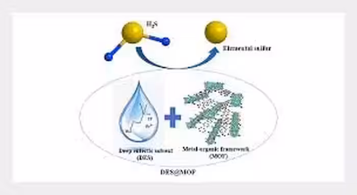 نرم افزار ویندوز FX Chem 2.006