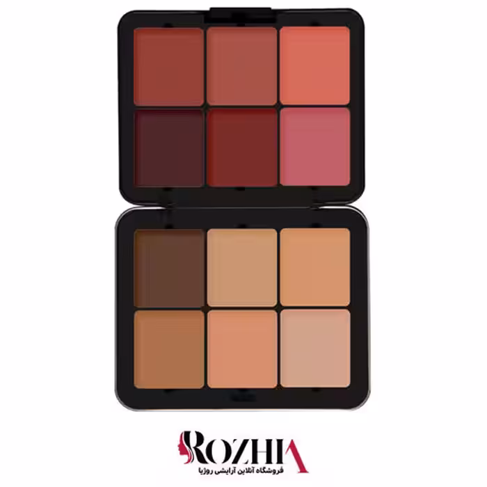 پالت 12 رنگ کانتور و رژگونه کرمی فیوچر میکاپ Future Makeup