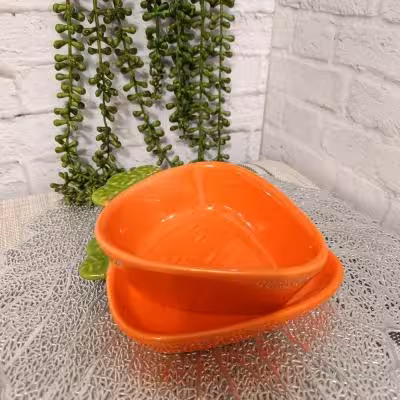 پیشدستی و پیله هویج جفتی