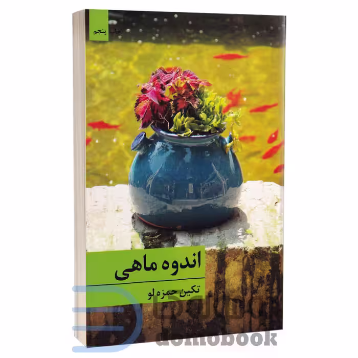 کتاب اندوه ماهی اثر تکین حمزه لو انتشارات برکه خورشید