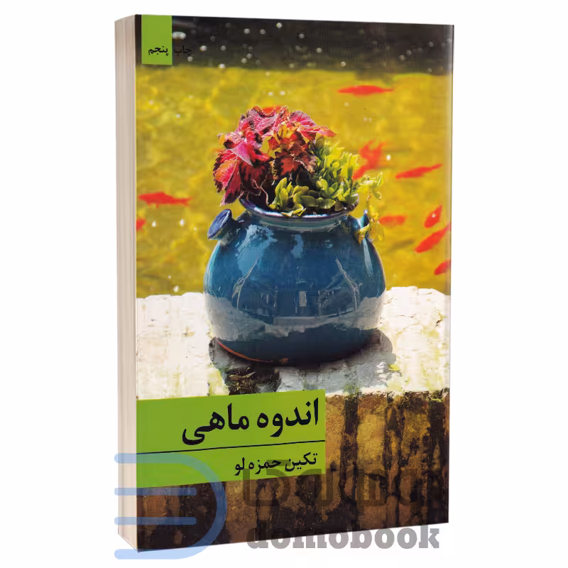کتاب اندوه ماهی اثر تکین حمزه لو انتشارات برکه خورشید
