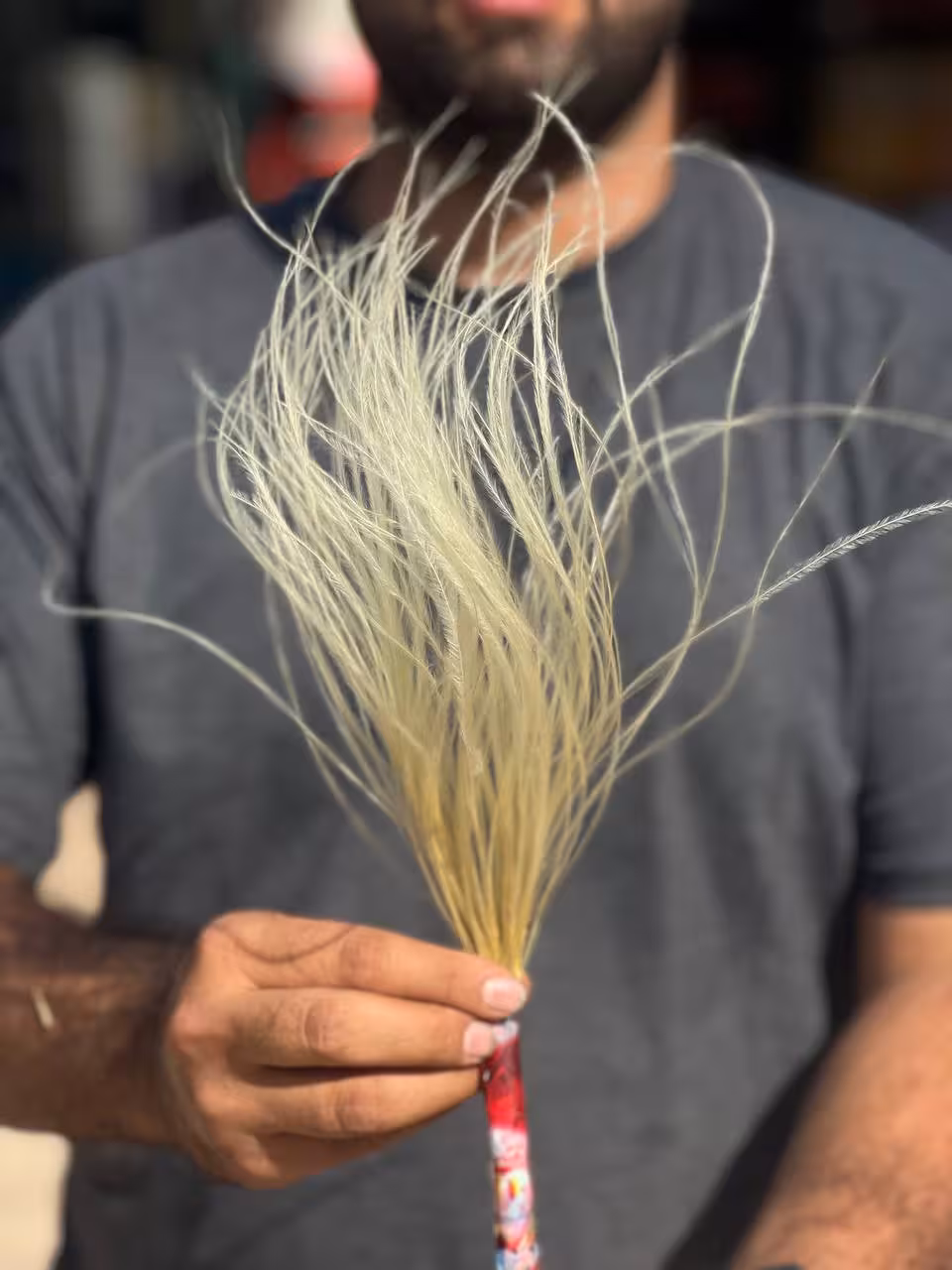 گل ریش بابا رنگ کرم