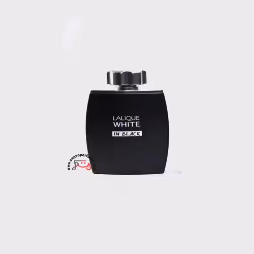 عطر ادکلن لالیک وایت این بلک | Lalique White in Black