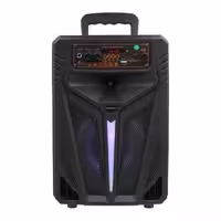 اسپیکر چمدانی 8 اینچی Galexbit مدل GS15 - مشکی