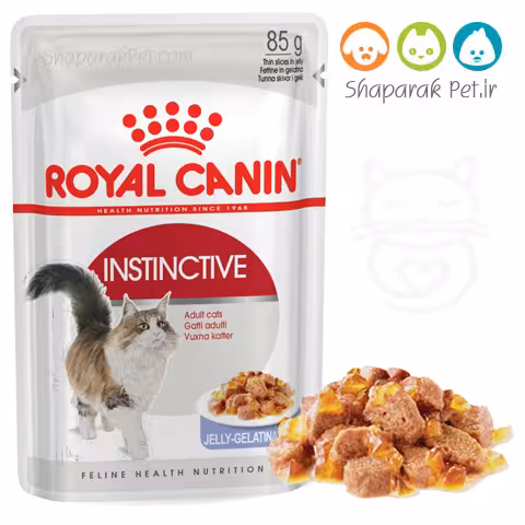 پوچ گربه اینستینکتیو رویال کنین