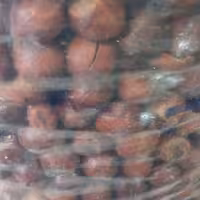 فندق با پوست ایرانی خام و شور