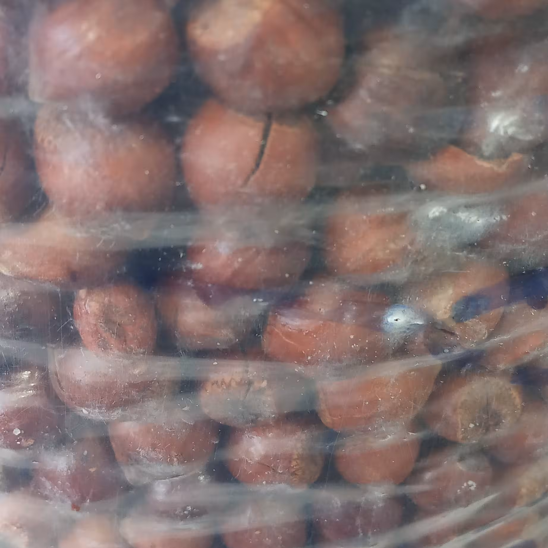 فندق با پوست ایرانی خام و شور