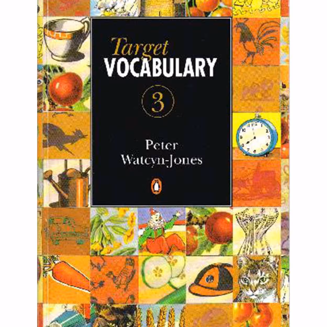 کتاب Target Vocabulary 3 intermediate -CAE