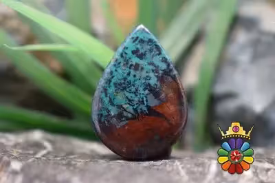 سانرایز جاسپر