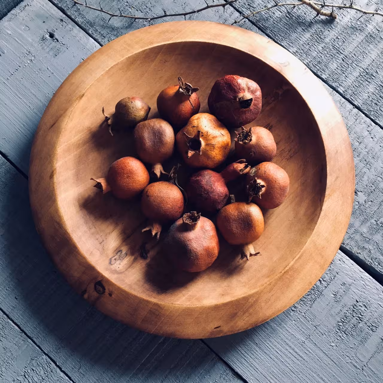 ظرف پذیرایی- کد 804