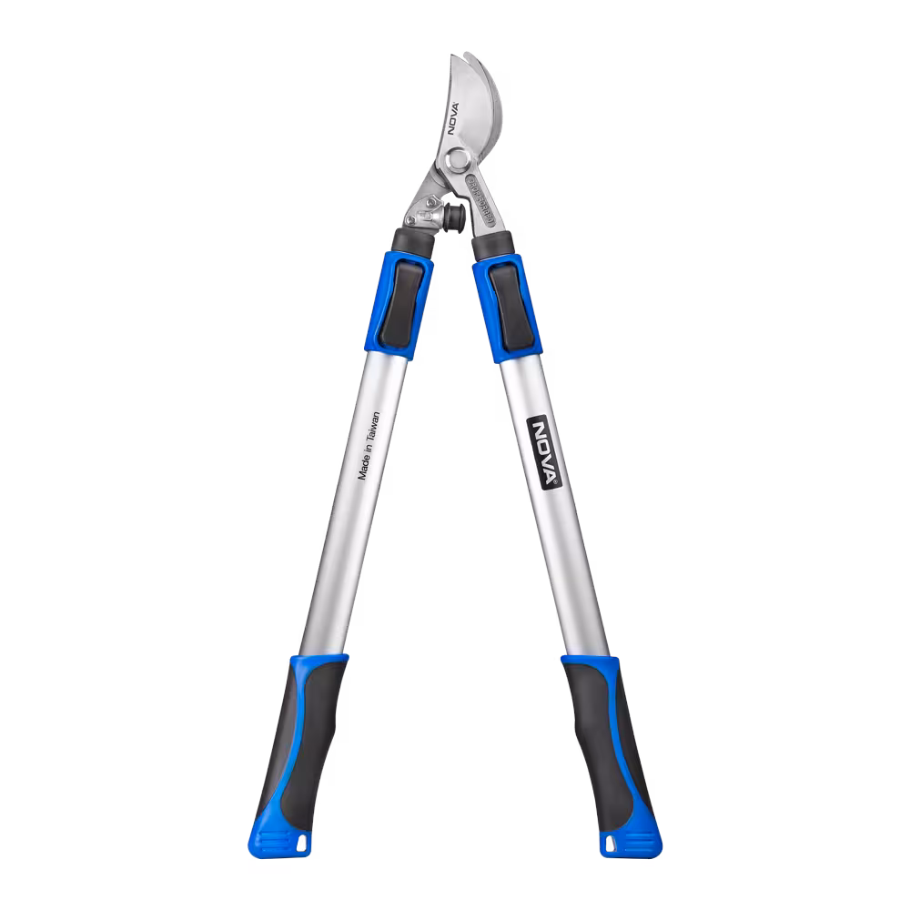 قیچی شاخه زن