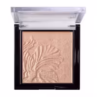 هایلایتر وت اند وایلد