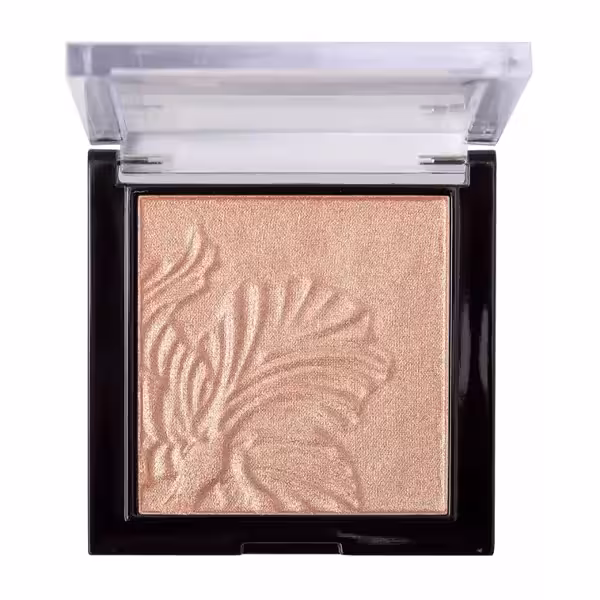 هایلایتر وت اند وایلد