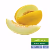 بذر خربزه آناناسی بذر طلایی رویان 