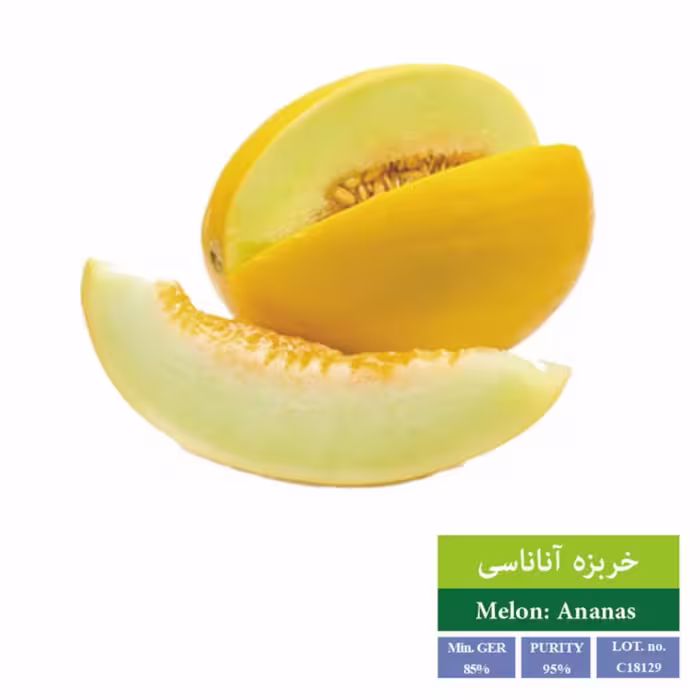 بذر خربزه آناناسی بذر طلایی رویان 