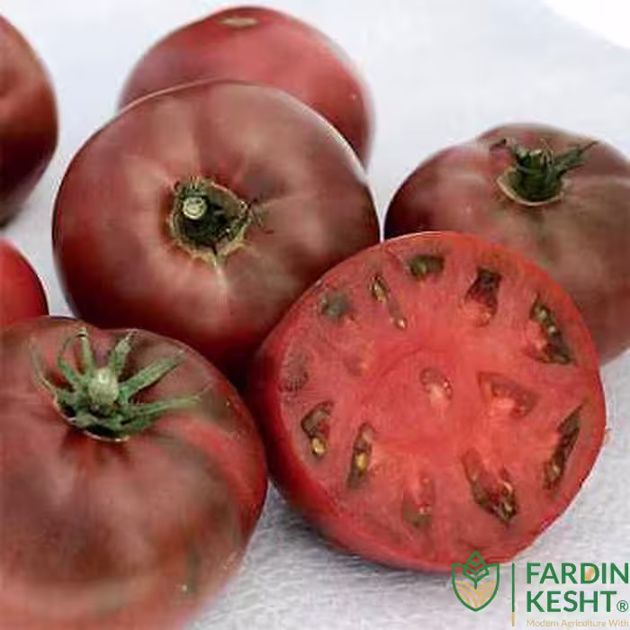 بذر گوجه فرنگی ارغوانی کربن آمریکایی بسته 10 عددی
