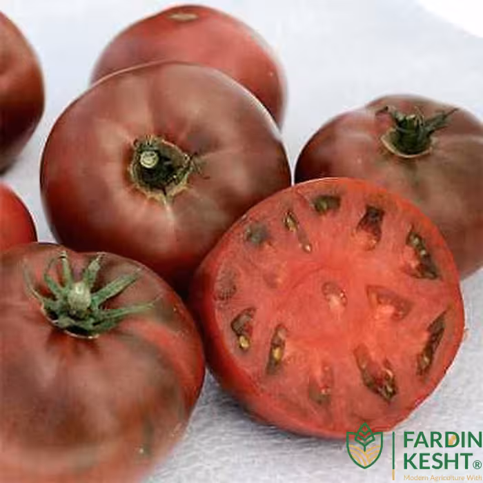 بذر گوجه فرنگی ارغوانی کربن آمریکایی بسته 10 عددی
