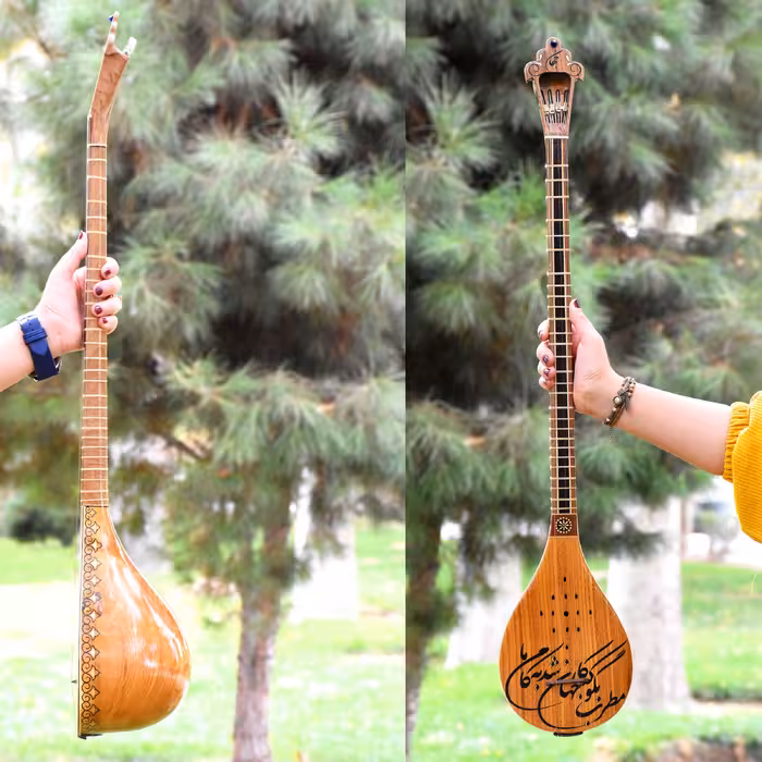 سه تار ایران ساز مدل جهان