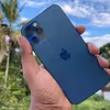 کاور مدل PVD کد 08 مناسب برای گوشی موبایل اپل IPHONE 14PRO MAX