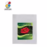 بذر گل ناز آفتابی بسته بندی کوچک ( بسته 20 عددی )