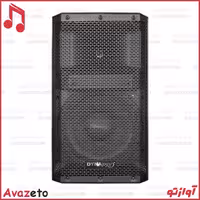 باند پسیو 12 اینچ دایناپرو DYNAPRO DY800