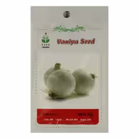بذر پیاز سفید