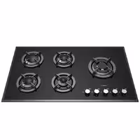 گاز صفحه ای رابیتس RG-542P