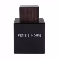 ادکلن مردانه پنسیس مدل 100ml ENCRE NOIRE