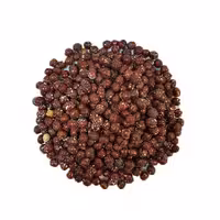 فندق شور درجه یک فله