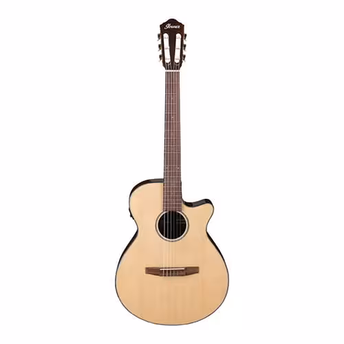 گیتار کلاسیک آیبانز AEG50N-NTIbanez AEG50N-NT