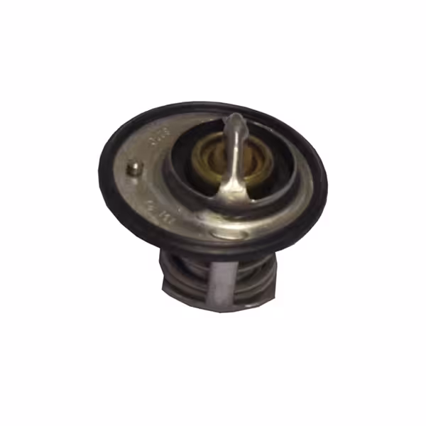 ترموستات هایما S5