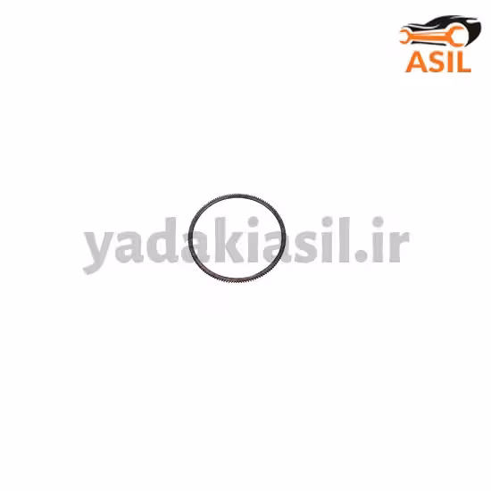 دنده فلایویل پژو رادیکال