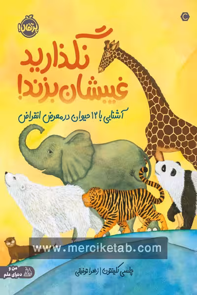 نگذارید غیبشان بزند پرتقال