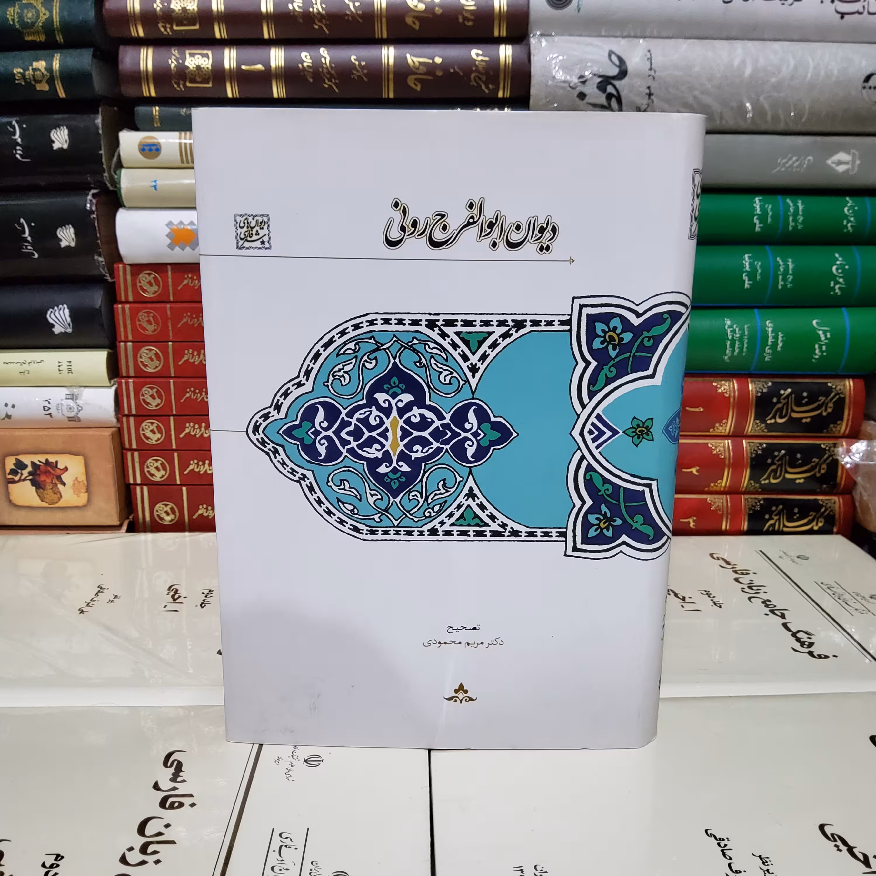 کتاب دیوان ابوالفرج رونی