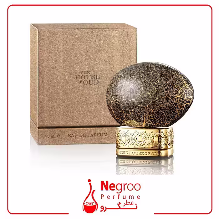 عطر ادکلن هاوس آف عود بلسینگ سایلنس 75 میل