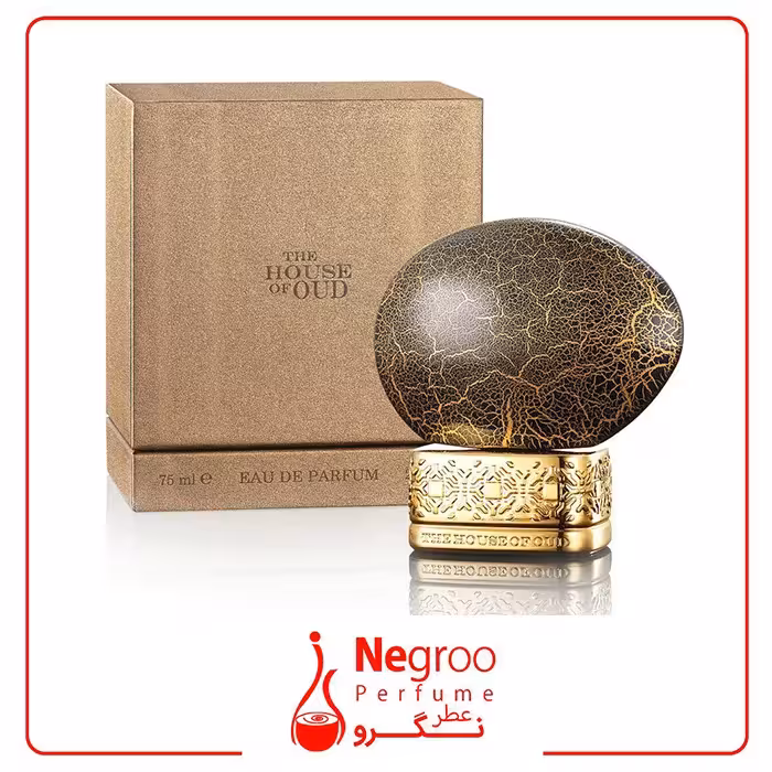 عطر ادکلن هاوس آف عود بلسینگ سایلنس 75 میل