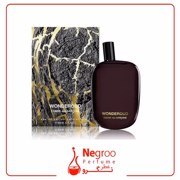 عطر ادکلن کومه دس گارسنز واندرعود 100 میل
