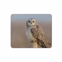 پد موس - پد ماوس  طرح جغد کد 3746