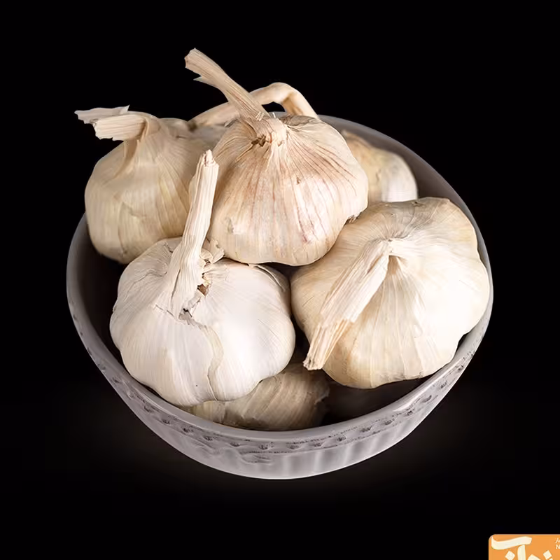 سیر همدان 