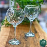 گیلاس خوری جونیور