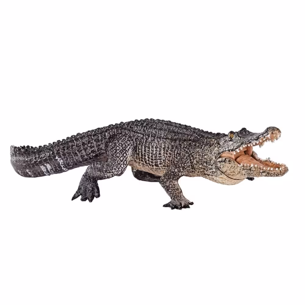 فیگور تمساح پوزه پهن Alligator With Articulated Jaw MOJO