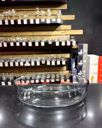 تابه بیضی کوچک بورجام