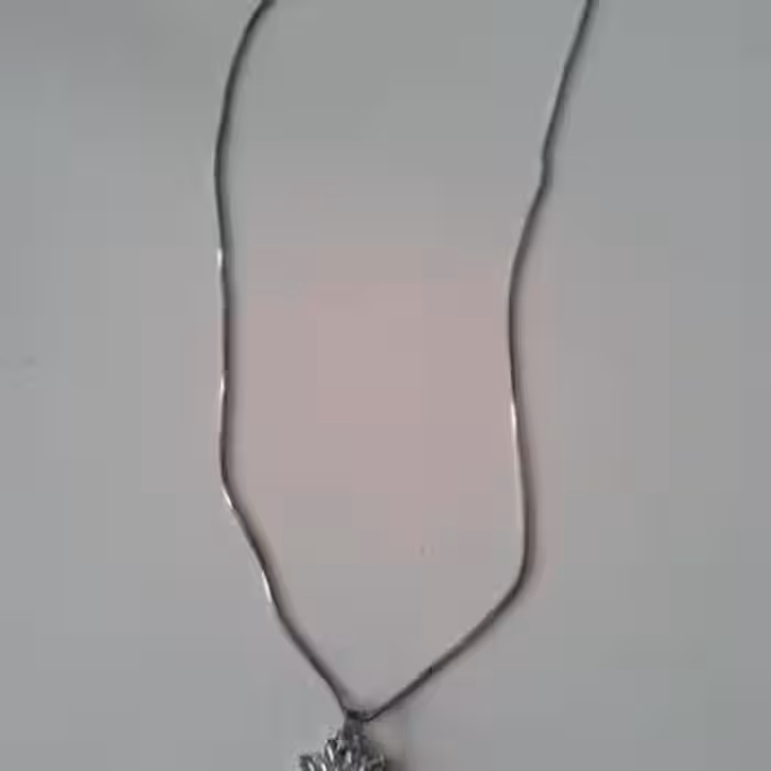 پلاک و زنجیر استیل