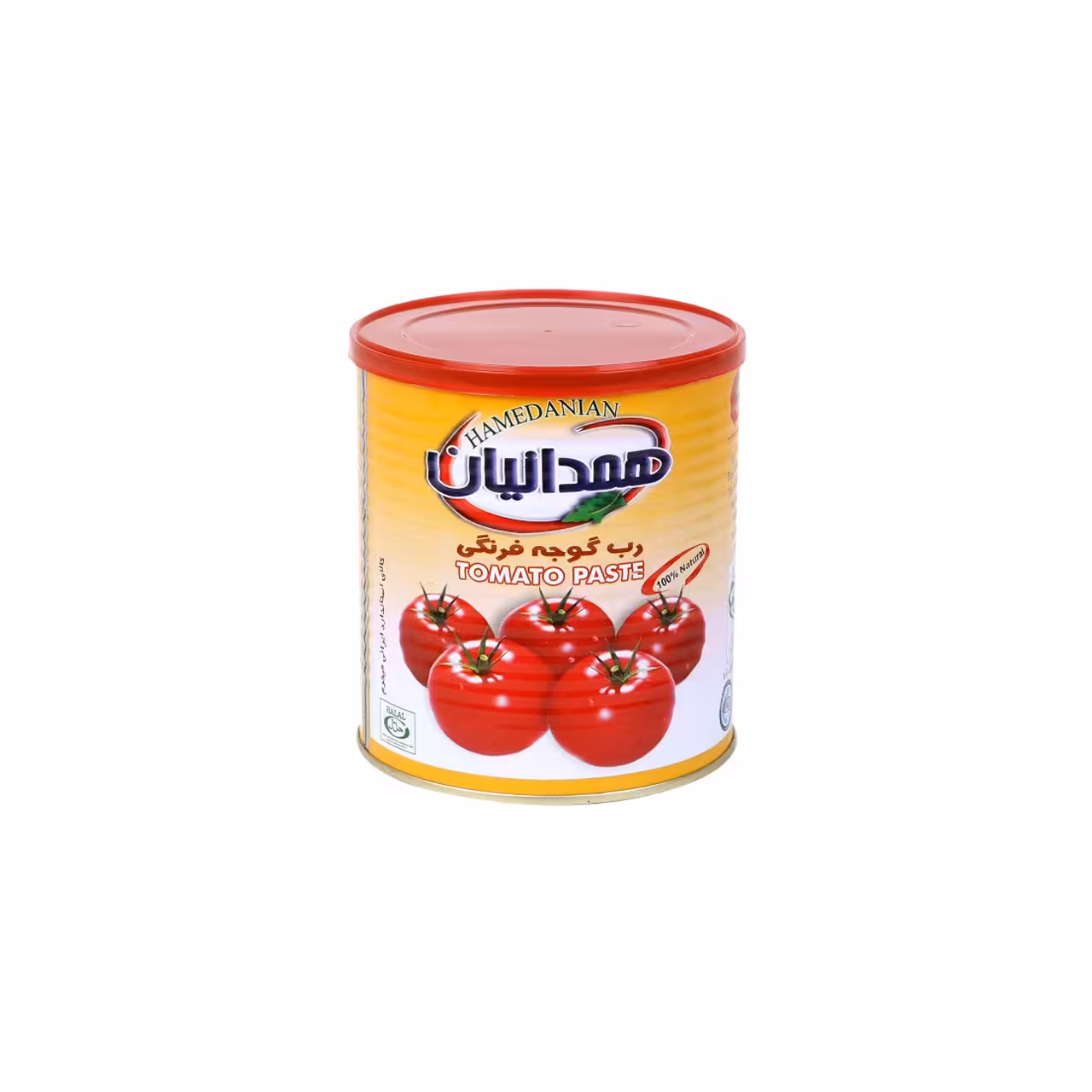 رب گوجه فرنگی همدانیان 800 گرمی