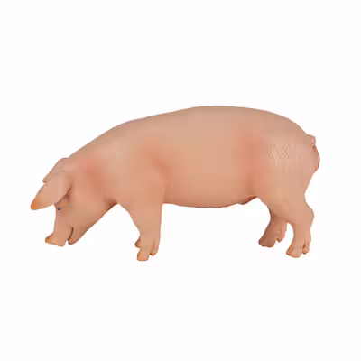 فیگور مدل خوک NR7080