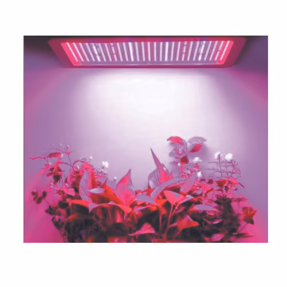 چیپ لامپ رشد گیاه 50 وات مدل SA300