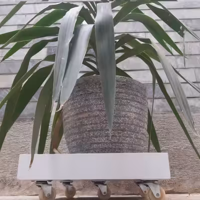 زیرگلدانی مدل چرخدار کد PVC